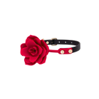 Bloom Silicone Gag