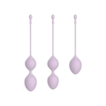 Kasi Weighted Kegel Set