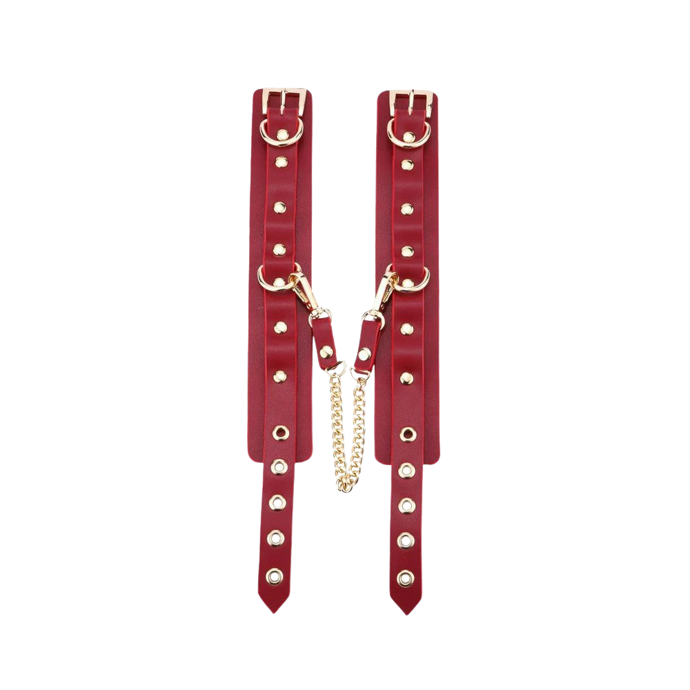 Luxe Bondage Bag