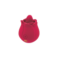 Rose Blossom Licker